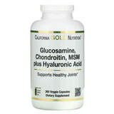 Фото Glucosamine Chondroitin, MSM plus Hyaluronic Acid, 360 Veggie Capsules