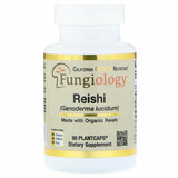 Фото Reishi (Ganoderma Lucidum), Full-Spectrum, Certified Organic, Cellular Support, 90 Plantcaps